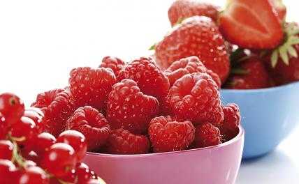 Диетолог Королева назвала ягоды, которые помогут укрепить иммунитет осенью